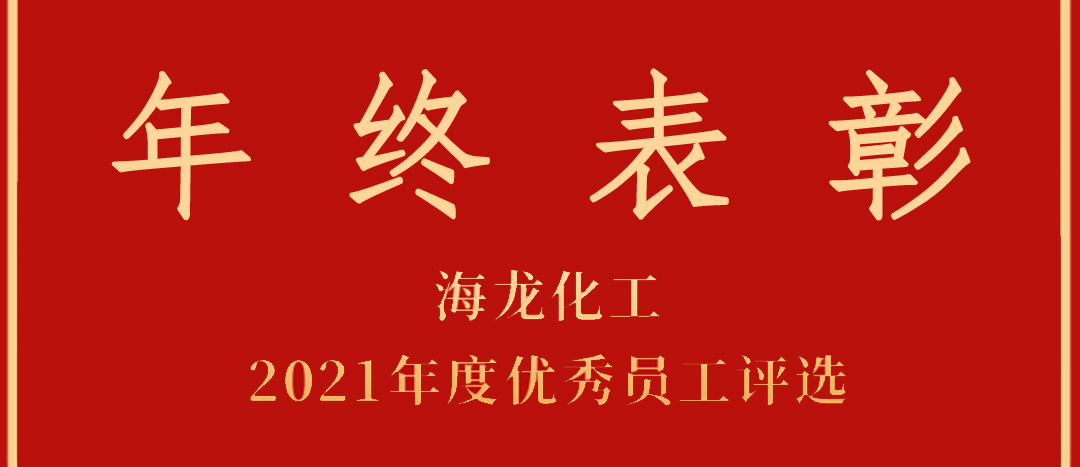 <strong>表彰！海龍化工2021年度優(yōu)秀員工優(yōu)秀部門評選</strong>